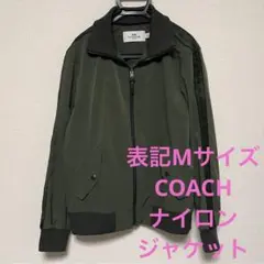 Item thumbnail for item 5cdb4434-fb9b-48d7-b69d-a2ebe92e8733