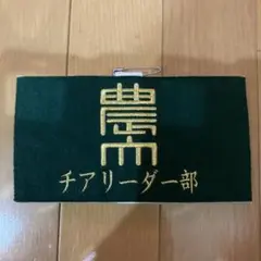 【確認用】　チア　腕章