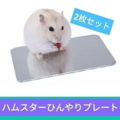 Item thumbnail for item a88aa701-9160-4395-82c5-7945b731840c