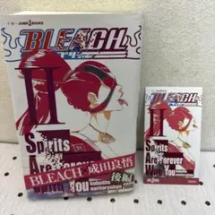 BLEACH Spirits Are Forever With You 2