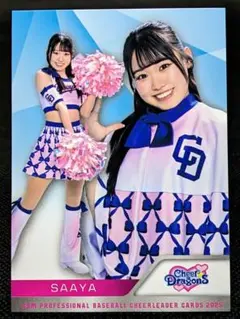 Item thumbnail for item 5c74c6b7-358a-48c4-9b54-0a20c25291bd