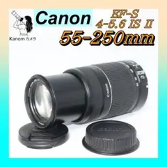 Item thumbnail for item 156900d8-67e5-4bfc-ab5e-64d90e4911e3