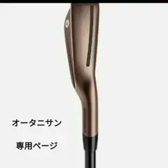 2025年最新】p790 カッパーの人気アイテム - メルカリ