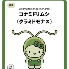 日本館 藻類 ハローキティピンバッジ コナミドリムシ　万博 藻キティサンリオ