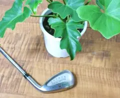 Item thumbnail for item aeb1b253-478d-48c7-bbae-641ea1f1c0cf