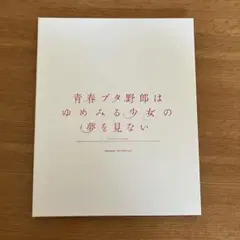 青春ブタ野郎はゆめみる少女の夢を見ない　　桜島真衣　フォトブック