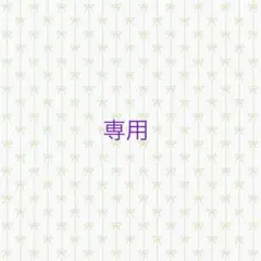 専用(C)