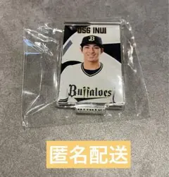 オリックス・バファローズ 乾健斗投手　アクリルスタンド ガチャ　全選手ver