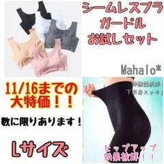 Item thumbnail for item 85e0e658-9fd6-4722-a798-3e5bf740ef83