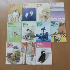 日本野鳥の会　会報　野鳥 2001年版　全11巻セット