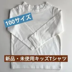 Item thumbnail for item a16d7356-1d29-4851-9b04-145c4dd16e26