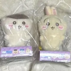 Item thumbnail for item a8497231-2236-41e2-8190-f9e8db2b8e34