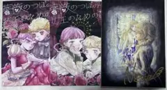 【即購入可】水野みやこ ボロヴィニア 3冊セット