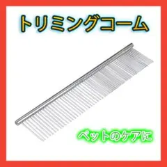 Item thumbnail for item b9fe19a9-fe6a-49a6-84a8-91198e646ff2