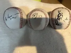 プロ野球 直筆サインボール 大谷智久 カニザレス ウルフ