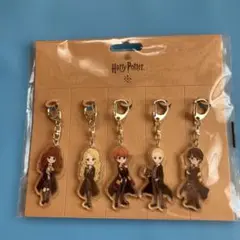 Harry Potter 原宿 ハリー・ポッター アクリルキーホルダー 5個入り