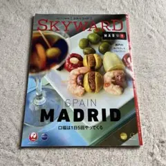 SKYWARD MADRID 2025.7