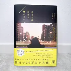 【新品未使用】小さな星だけど輝いている