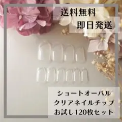 ショートオーバル クリアネイルチップお試し用120枚セット
