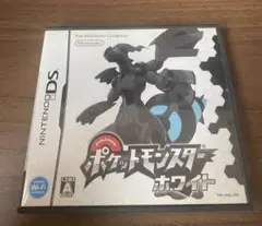 【空ケース】 Nintendo DS ポケットモンスター ホワイト