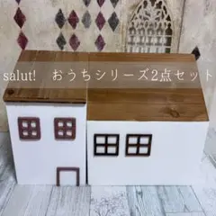 salut! ＊ おうちシリーズ おうちゴミ箱 おうち隠しボックス 2点セット