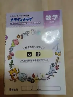 トライ&トライ
