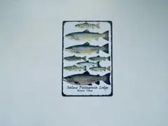 ブリキ看板 魚 釣り 釣具 フィッシング 魚拓 バス レトロ調 P-375