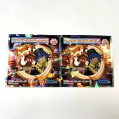 ポケットモンスター ポケモン ウエハース シール ダンデ&リザードン