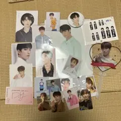 SEVENTEEN ドギョム トレーディングカードセット