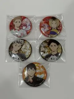 ハイキュー!! 缶バッチ5個