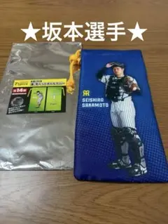 阪神タイガース シークレット温冷ペットボトルカバー★坂本誠志郎選手