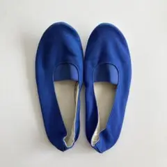 オイリュトミーシューズ　22cm 上履き