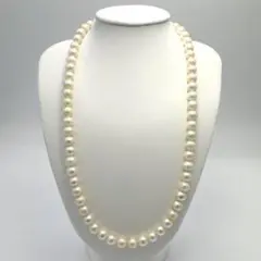 Item thumbnail for item 3a8c6171-017f-44e6-ba20-fe5426a6dcb3