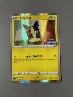 モルペコ：チャンピオンズリーグ2020 愛知 参加賞 PROMO S-Pプロモ ポケモンカードゲーム チャンピオンズリーグ2020 愛知 プライズ