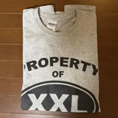 GILDAN XXL Tシャツ PROPERTY