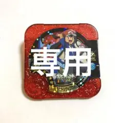 はやたか様専用 ポケモントレッタ サトシゲッコウガ