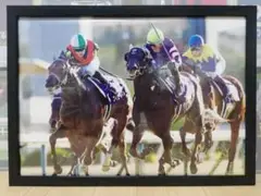 競馬.フィエールマン.パネル.優馬