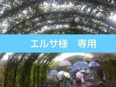 2025年最新】FEILER ポロシャツの人気アイテム - メルカリ