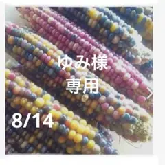 ゆみ様　専用