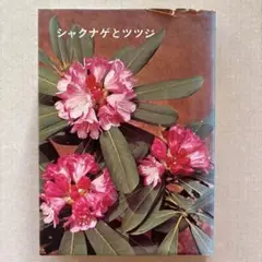 シャクナゲとツツジ