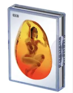 T-Rex x GAS Trading Card