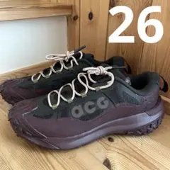 ナイキ ACG マウンテン フライ 2 LOW ゴアテックス