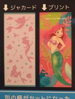 Item thumbnail for item fc5f82a2-3ad6-44f6-89dc-a67ffae59df7