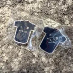 ⭐️ジェフユナイテッド千葉ピンバッジ⭐️