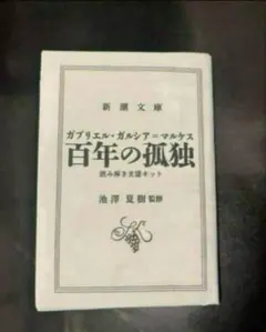 百年の孤独 ガブリエル・ガルシア=マルケス 読み解き支援キット 池澤夏樹監修