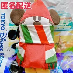 リルリンリン　ブランケット　新品未使用タグ付き 東京ディズニーリゾート 通販 ディズニー クリスマス