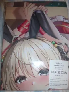 H652　抱き枕カバー　未開封 ■約160㎝×約50㎝ ■２WAYトリコット