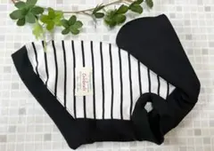Item thumbnail for item bb2f06f1-ee10-4120-b001-fb232250a139