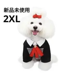 Item thumbnail for item cf18458f-1add-436c-a174-9a51cdb31924