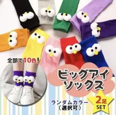 ビッグアイソックス 目玉靴下 2足セット タイツ カラフル ポップ